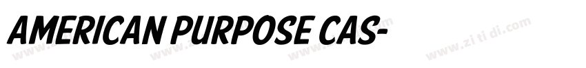 American Purpose Cas字体转换